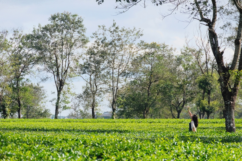 Dạo chơi trên con đường lãng mạn nhất Gia Lai