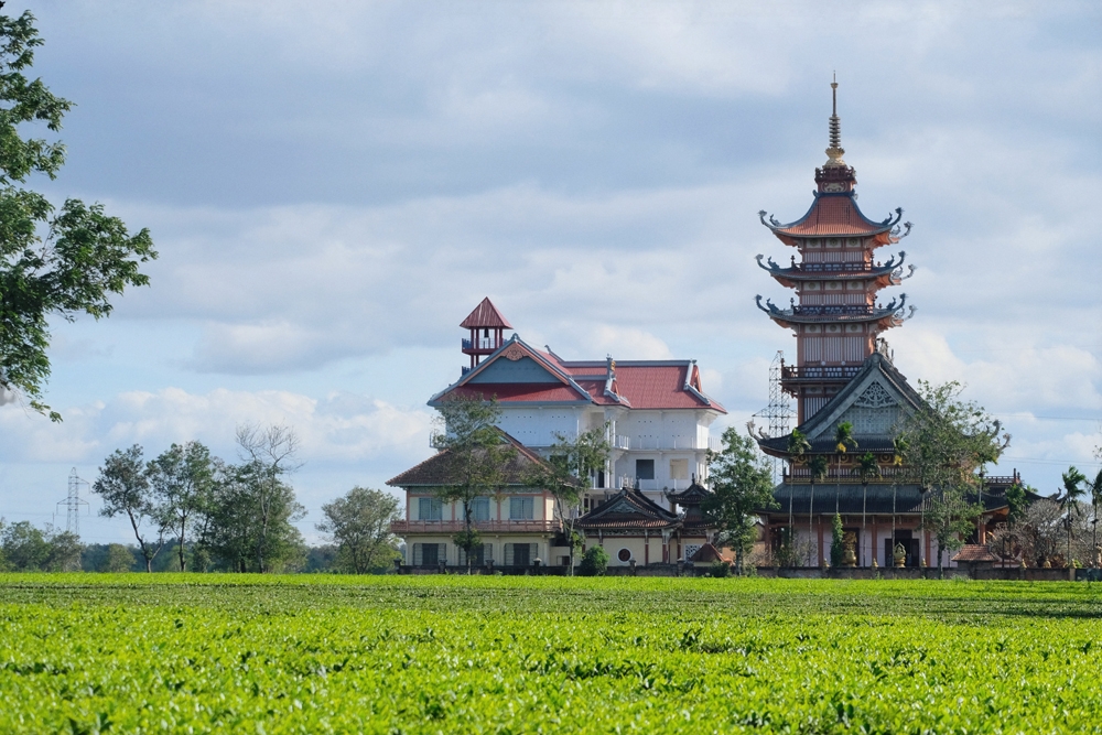 Dạo chơi trên con đường lãng mạn nhất Gia Lai